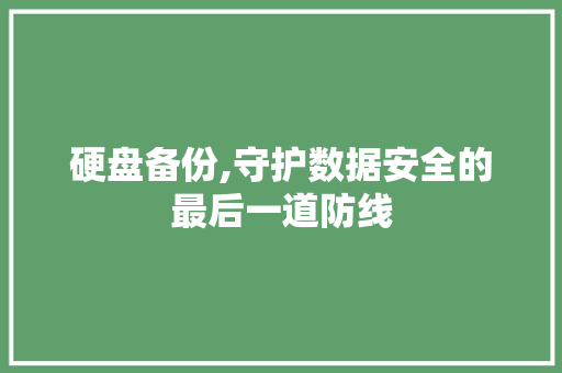 硬盘备份,守护数据安全的最后一道防线