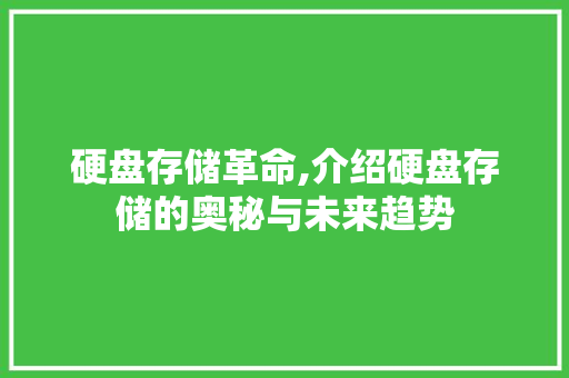 硬盘存储革命,介绍硬盘存储的奥秘与未来趋势