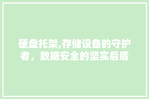 硬盘托架,存储设备的守护者，数据安全的坚实后盾 WordPress教程
