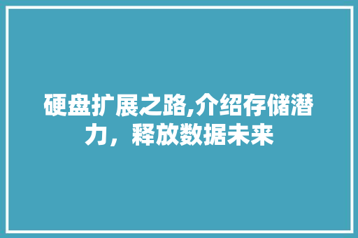 硬盘扩展之路,介绍存储潜力，释放数据未来