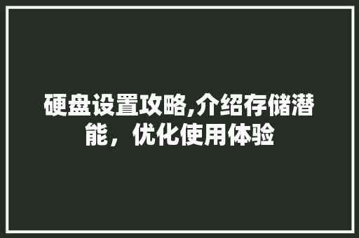 硬盘设置攻略,介绍存储潜能，优化使用体验