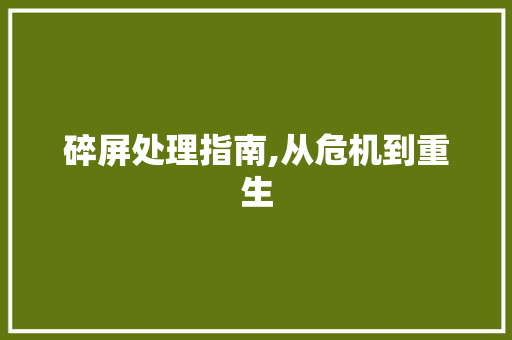 碎屏处理指南,从危机到重生