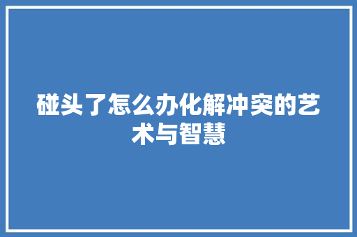 碰头了怎么办化解冲突的艺术与智慧 友链在线