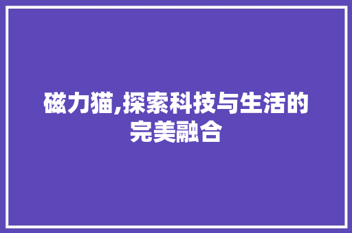 磁力猫,探索科技与生活的完美融合