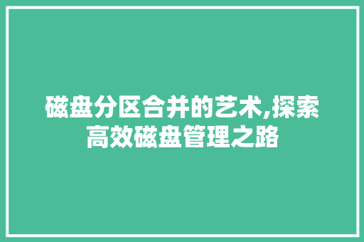 磁盘分区合并的艺术,探索高效磁盘管理之路
