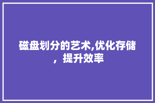 磁盘划分的艺术,优化存储，提升效率