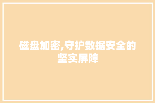 磁盘加密,守护数据安全的坚实屏障