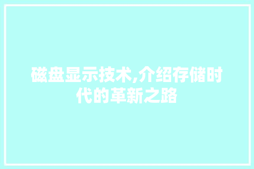 磁盘显示技术,介绍存储时代的革新之路