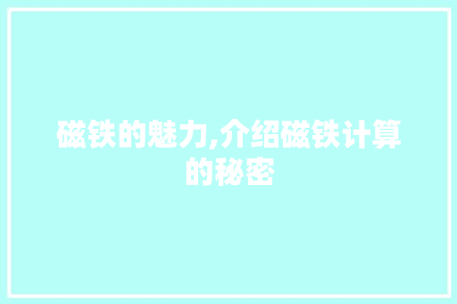 磁铁的魅力,介绍磁铁计算的秘密 建站教程