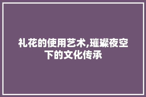 礼花的使用艺术,璀璨夜空下的文化传承 建站教程