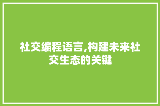 社交编程语言,构建未来社交生态的关键