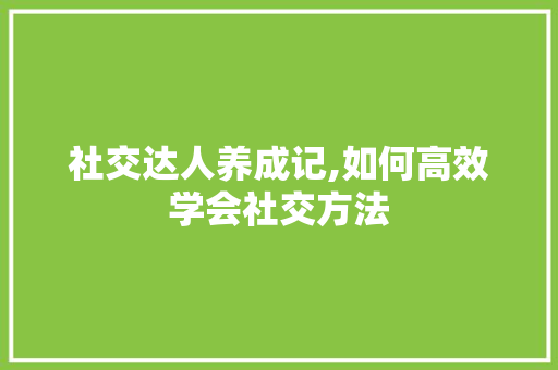 社交达人养成记,如何高效学会社交方法