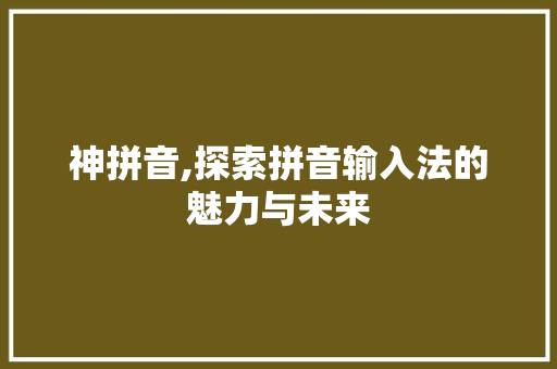 神拼音,探索拼音输入法的魅力与未来