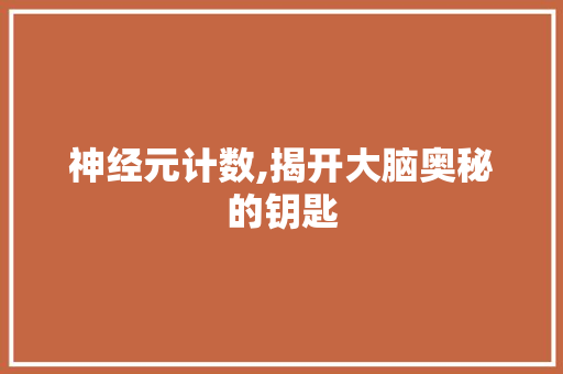 神经元计数,揭开大脑奥秘的钥匙