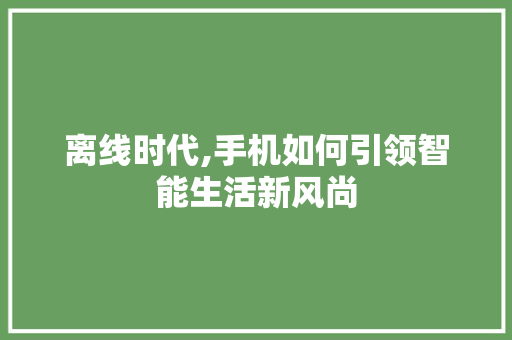 离线时代,手机如何引领智能生活新风尚