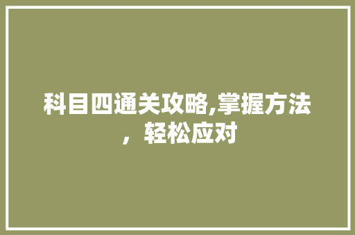 科目四通关攻略,掌握方法，轻松应对