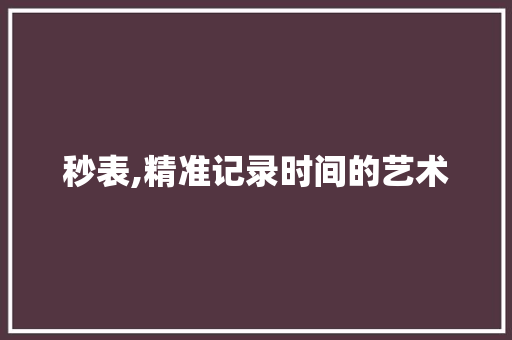 秒表,精准记录时间的艺术
