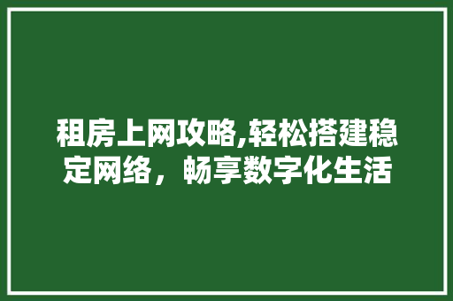 租房上网攻略,轻松搭建稳定网络，畅享数字化生活
