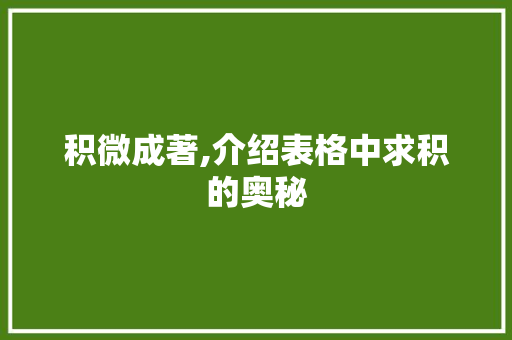 积微成著,介绍表格中求积的奥秘