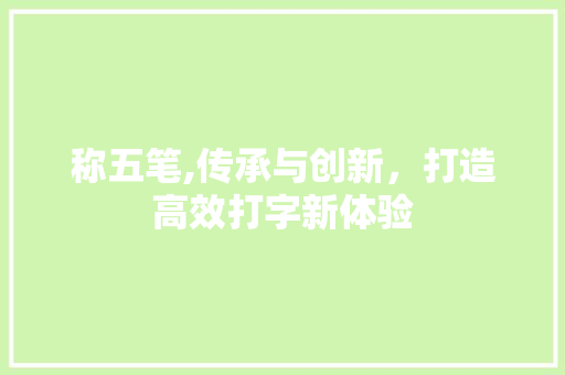 称五笔,传承与创新，打造高效打字新体验