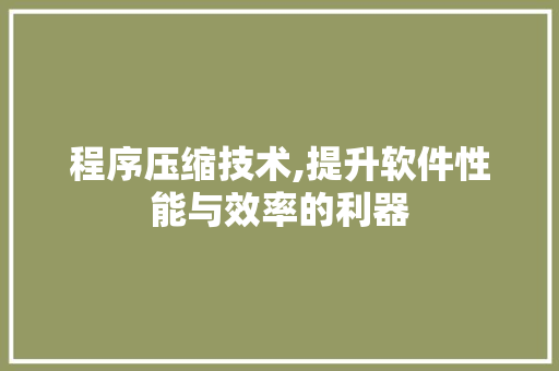 程序压缩技术,提升软件性能与效率的利器