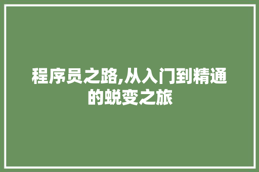 程序员之路,从入门到精通的蜕变之旅