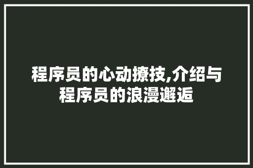 程序员的心动撩技,介绍与程序员的浪漫邂逅
