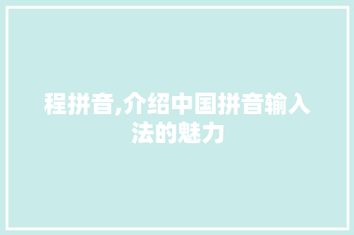 程拼音,介绍中国拼音输入法的魅力