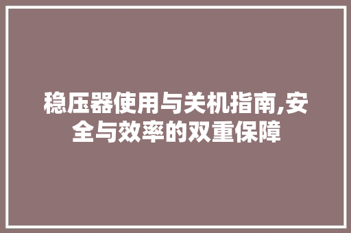 稳压器使用与关机指南,安全与效率的双重保障 Web前端