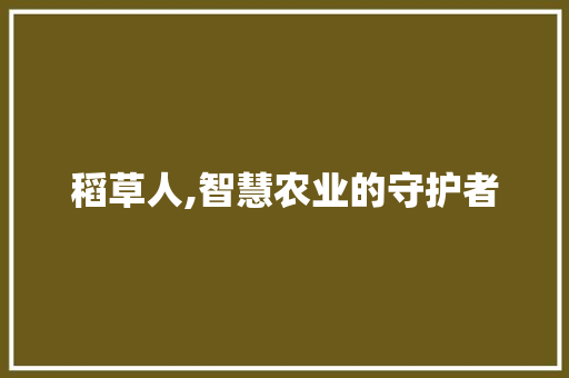 稻草人,智慧农业的守护者