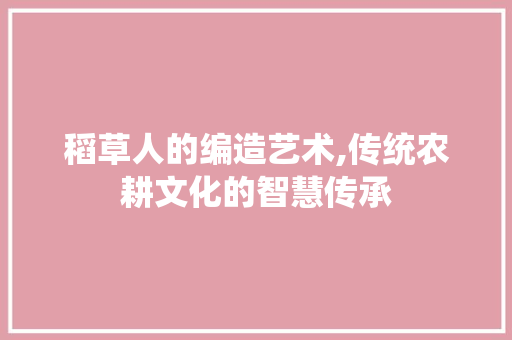 稻草人的编造艺术,传统农耕文化的智慧传承 服务器/数据库