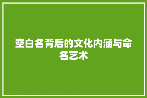 空白名背后的文化内涵与命名艺术 Web前端