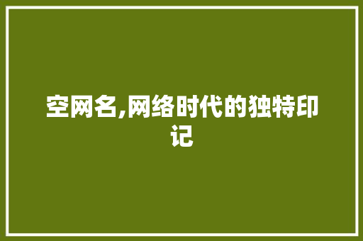 空网名,网络时代的独特印记