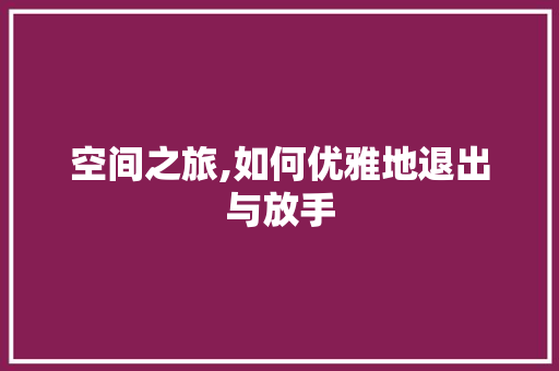 空间之旅,如何优雅地退出与放手