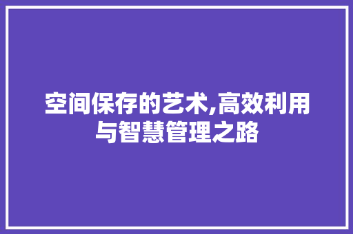 空间保存的艺术,高效利用与智慧管理之路