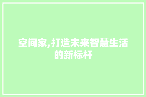 空间家,打造未来智慧生活的新标杆