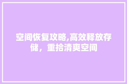 空间恢复攻略,高效释放存储，重拾清爽空间