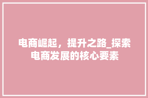 电商崛起，提升之路_探索电商发展的核心要素