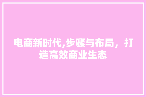 电商新时代,步骤与布局，打造高效商业生态