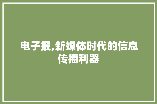 电子报,新媒体时代的信息传播利器