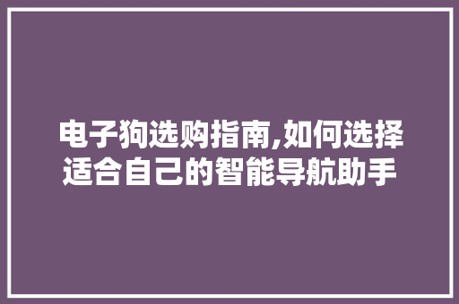 电子狗选购指南,如何选择适合自己的智能导航助手