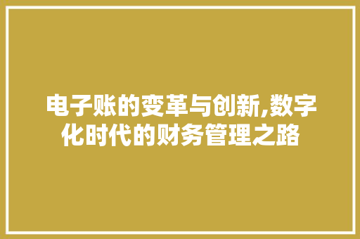 电子账的变革与创新,数字化时代的财务管理之路