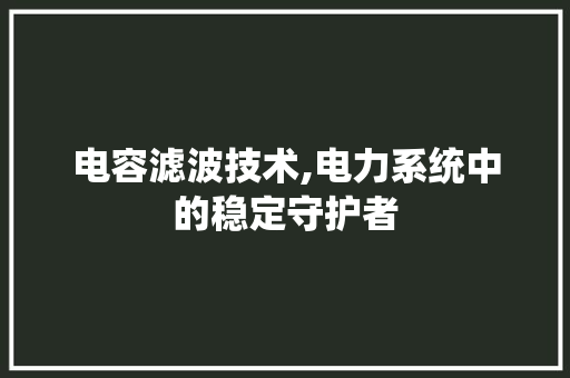 电容滤波技术,电力系统中的稳定守护者