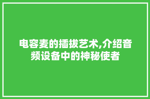 电容麦的插拔艺术,介绍音频设备中的神秘使者