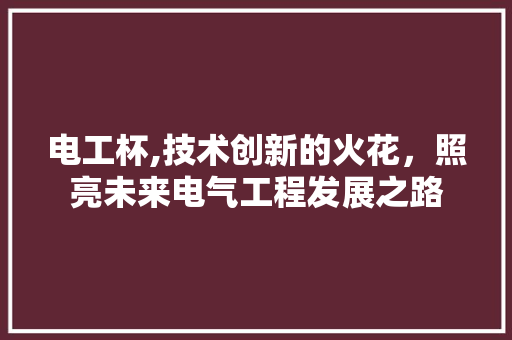 电工杯,技术创新的火花，照亮未来电气工程发展之路