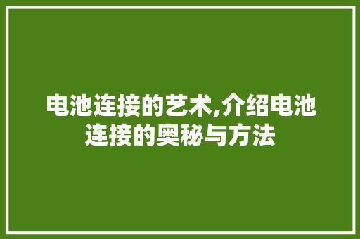 电池连接的艺术,介绍电池连接的奥秘与方法