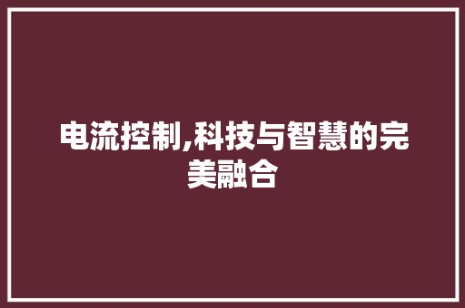 电流控制,科技与智慧的完美融合