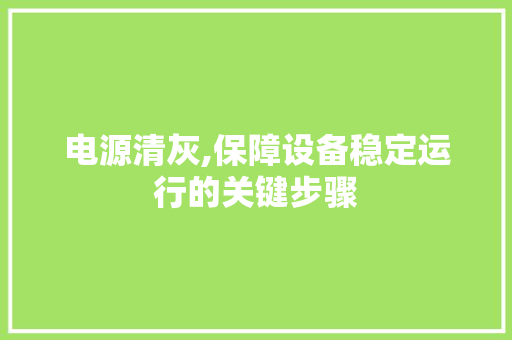 电源清灰,保障设备稳定运行的关键步骤 服务器/数据库
