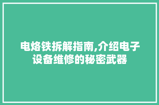 电烙铁拆解指南,介绍电子设备维修的秘密武器