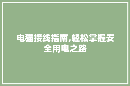 电猫接线指南,轻松掌握安全用电之路